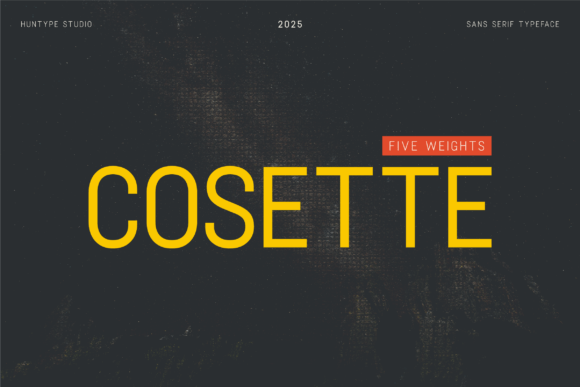 Cosette: The Modern Sans Serif Font for Web Design