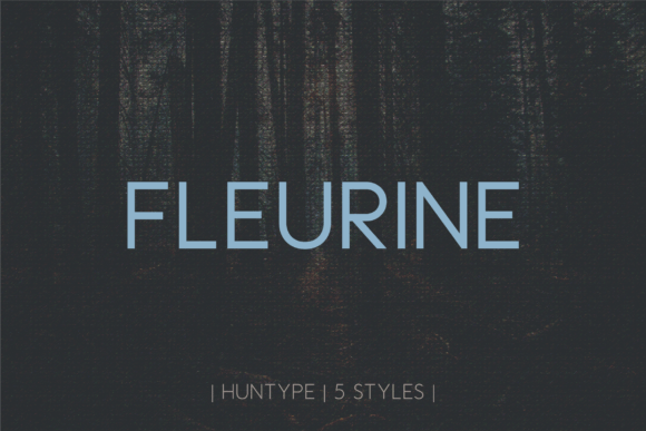 Fleurine Review: A Designer's Take on This Elegant Sans Serif